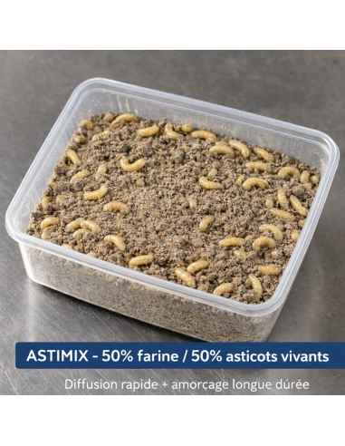 ASTICOT ET FARINE D'ASTICOTS