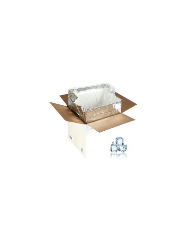Caisse Isotherme + Carboglace