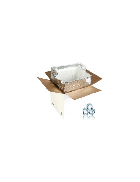 Caisse Isotherme + Carboglace