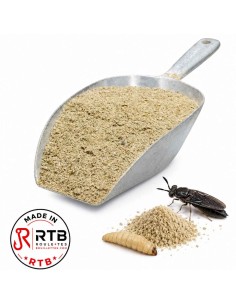 Farine d'insectes