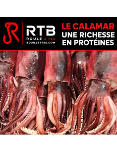 Farine de Calamars pour Bouillettes maison pêche Carpe – RTB 2