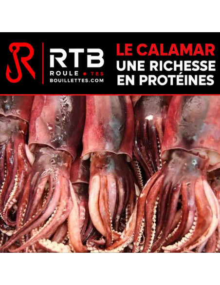 Farine de Calamars pour Bouillettes Maison I Super Attractant Carpe | RTB