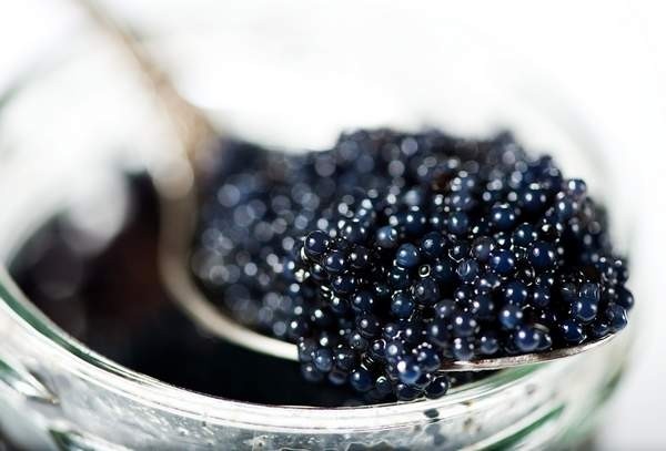 CAVIAR BLACK PEPPER CAVIAR BLACK PEPPER