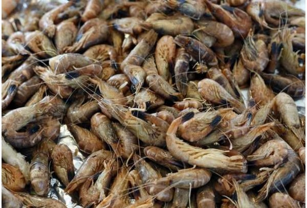 Farine de crevettes Farine de crevettes
