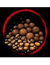 Graines & Pellets