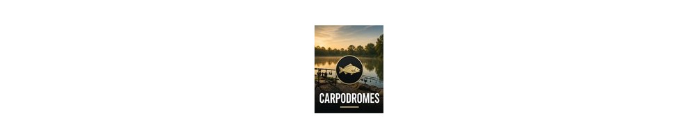 Appâts pour carpodromes | Bouillettes, pellets et amorçage RTB