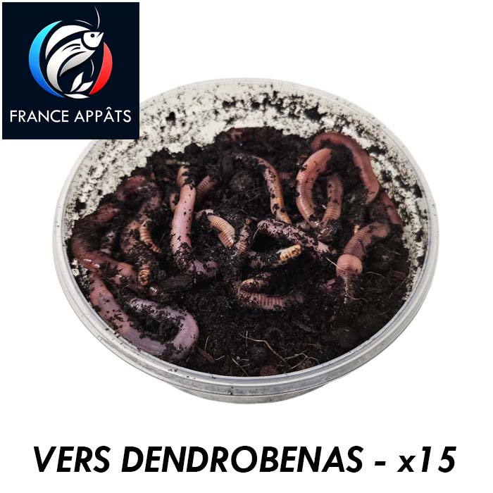 VERS DENDROS